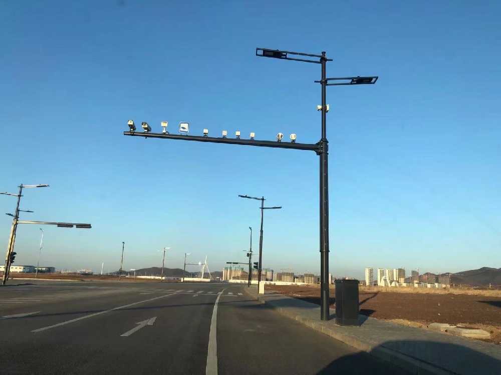 吉林市黑龙江佳木斯综合路灯杆项目